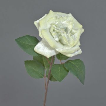 Rosa di velluto YUFAN, crema, 45 cm