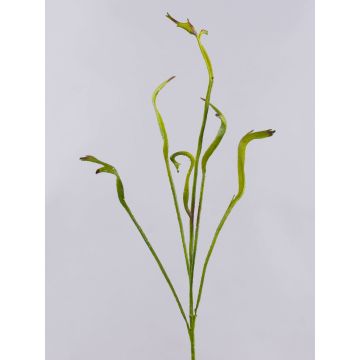 Ramo di salice drago artificiale ADELFOS, verde, 85cm Ramo di salice drago artificiale ADELFOS, verde, 85cm
