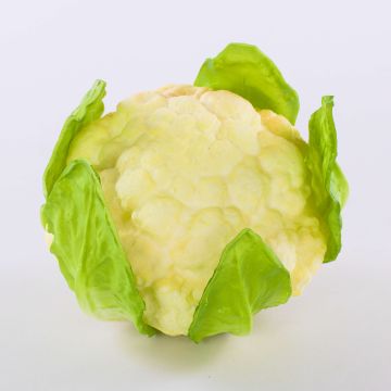 Cavolo sintetico SINEO, bianco-verde, 10,5cm, Ø18cm Cavolo sintetico SINEO, bianco-verde, 10,5cm, Ø18cm