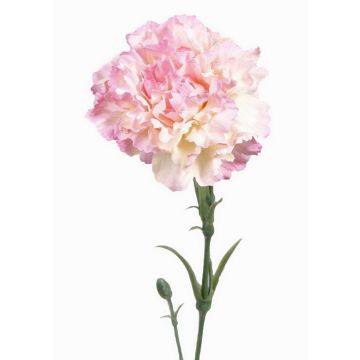 Garofano artificiale VANERA, rosa-bianco, 60cm, Ø8cm Garofano artificiale VANERA, rosa-bianco, 60cm, Ø8cm