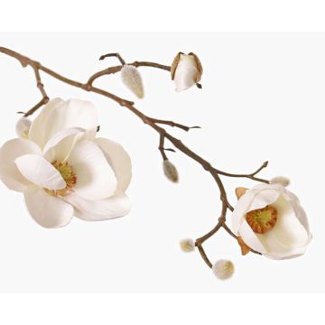 Magnolia artificiale KOSTAS, bianco, 55cm, Ø6-8cm