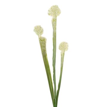Succulenta artificiale Sarracenia SIMANA su stelo, bianco-verde, 65 cm