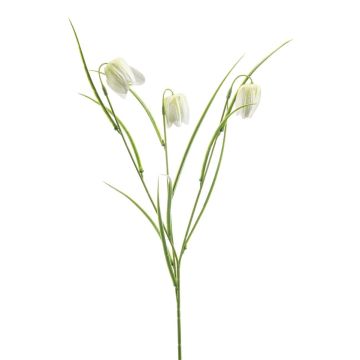 Ramo artificiale di iris REMARA, bianco-verde, 55 cm
