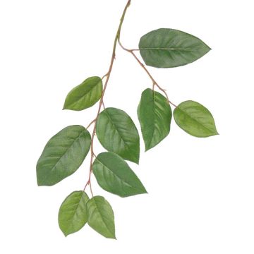 Ramo di melo artificiale KONSTANTIN, verde, 75cm