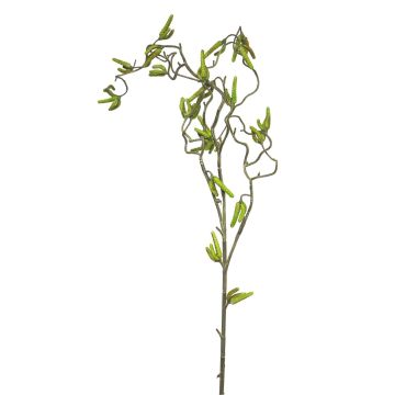 Ramo decorativo di nocciolo SIHAO con amenti, verde, 100 cm