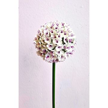 Allium artificiale LOKJAN, bianco-viola, 70 cm