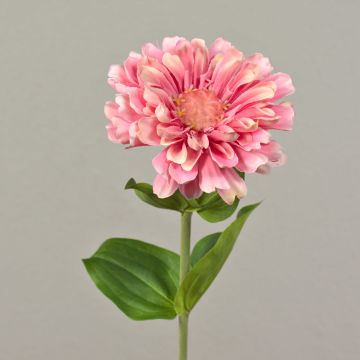 Zinnia artificiale MIANMO, rosa, 60 cm