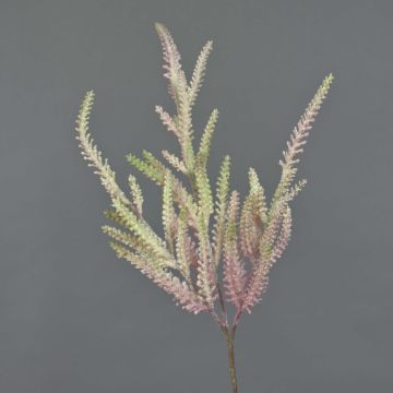 Astilbe di plastica QIMEI, rosa scuro-verde, 70 cm