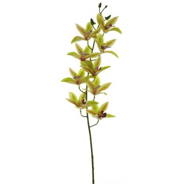 Ramo decorativo di orchidea cymbidium YAMEI, verde-rosa, 80 cm Ramo decorativo di orchidea cymbidium YAMEI, verde-rosa, 80 cm