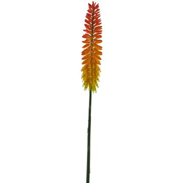 Kniphofia artificiale QIUMIN, arancione, 85cm