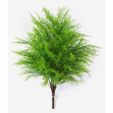 Asparago plumosus artificiale SUSANNA, stelo, 60cm, Ø48cm