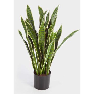 Sansevieria artificiale BEYZA, verde-giallo, 95cm