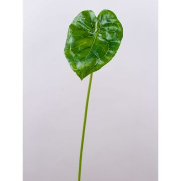 Foglia finta di anturio GÜLSAH, verde, 65cm Foglia finta di anturio GÜLSAH, verde, 65cm