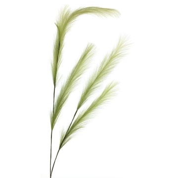 Ramo decorativo di stipa MINBEI, verde, 145cm Ramo decorativo di stipa MINBEI, verde, 145cm