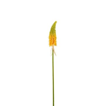 Fiore decorativo giglio di fuoco MAVORA, verde-giallo, 80 cm