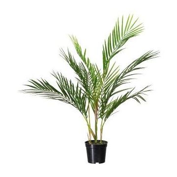 Palma decorativa Areca YONNE, 70 cm