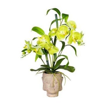 Composizione artificiale Orchidea Bambù MARAKI in vaso di cemento Buddha, radici, verde chiaro, 60 cm