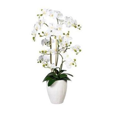 Fiore decorativo orchidea Phalaenopsis VELTORI, vaso in ceramica, bianco, 110 cm Fiore decorativo orchidea Phalaenopsis VELTORI, vaso in ceramica, bianco, 110 cm