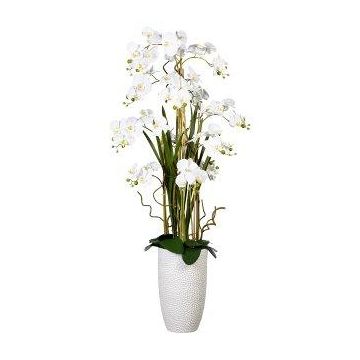 Composizione floreale artificiale orchidea salice contorto TENIKA, vaso in ceramica, radici, bianco, 160cm Composizione floreale artificiale orchidea salice contorto TENIKA, vaso in ceramica, radici, bianco, 160cm