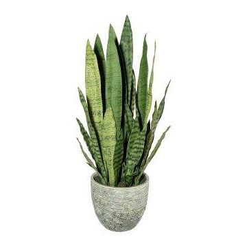Pianta succulenta decorativa Sansevieria SNARLY in vaso in melamina, verde, 80 cm