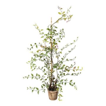 Pianta artificiale Mühlenbeckia MURAHIN, vaso in cemento, verde, 100 cm