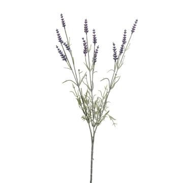 Ramo artificiale di lavanda JELLE, viola, 70 cm