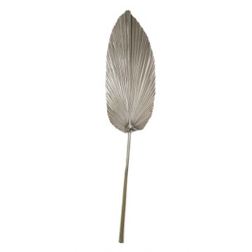 Foglia decorativa di palma Washingtonia DAIANE, essiccata, color champagne, 100 cm