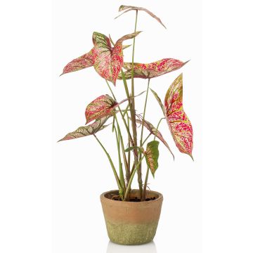 Pianta artificiale Syngonium YOMREL in vaso terracotta, rosso-verde, 60 cm