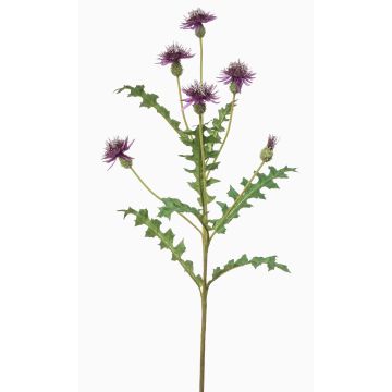 Fiore finto fiordaliso XAVANNAH, viola, 95 cm