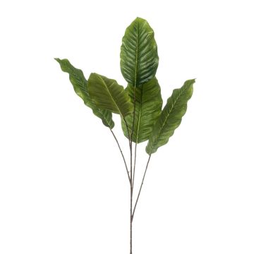 Ramo decorativo Dieffenbachia ZERVAN, verde, 110 cm