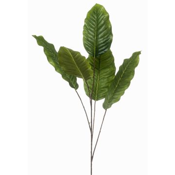 Ramo decorativo Dieffenbachia ZERVAN, verde, 110 cm