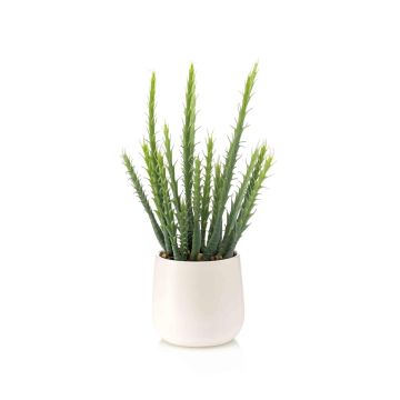 Cactus artificiale Euphorbia trigona NORSHE in vaso decorativo, verde, 28 cm