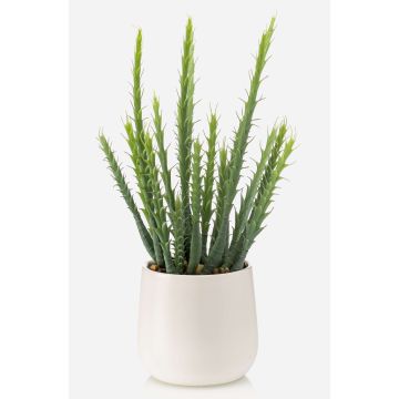 Cactus artificiale Euphorbia sipolisii NORSHO in vaso decorativo, verde, 28 cm