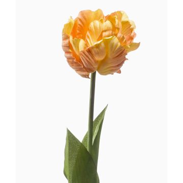 Tulipano artificiale LIOMARA, giallo-pesca, 65 cm Tulipano artificiale LIOMARA, giallo-pesca, 65 cm