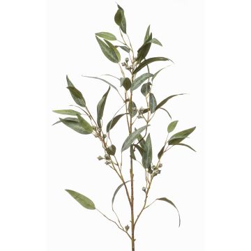 Ramo artificiale eucalipto JURKA con frutti, verde-grigio, 115 cm