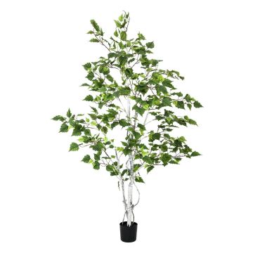 Albero di betulla finto WAYNE, tronchi artificiali, verde, 150cm