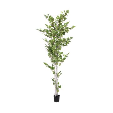 Albero di betulla finto WAYNE, tronchi artificiali, verde, 210cm