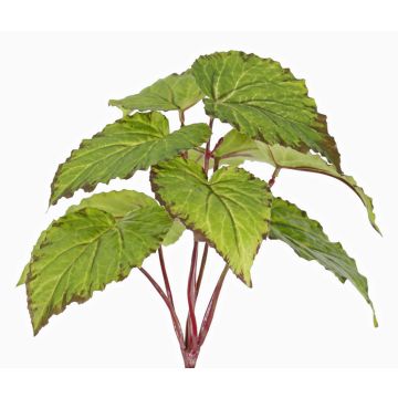 Begonia artificiale KATRICE su bastoncino, difficilmente infiammabile, verde, 25cm