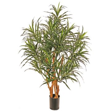 Albero artificiale Dracaena reflexa anita SENFYN, tronchi naturali, verde, 95 cm