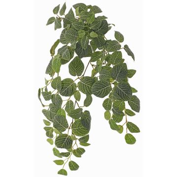Pianta artificiale Fittonia LONFYN, bastoncino, pendente, verde, 75cm Pianta artificiale Fittonia LONFYN, bastoncino, pendente, verde, 75cm