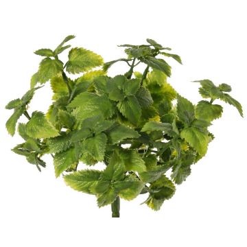 Menta decorativa WONFYN, bastoncino, verde, 20 cm Menta decorativa WONFYN, bastoncino, verde, 20 cm