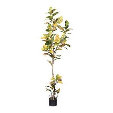 Albero artificiale Croton ERENDY, tronco artificiale, verde-giallo, 200 cm