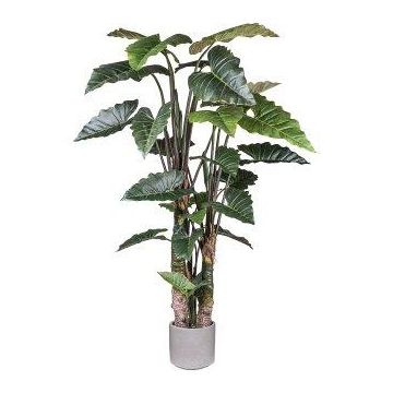 Pianta artificiale Colocasia LUMHER, tronco artificiale, vaso in cemento, verde, 260 cm