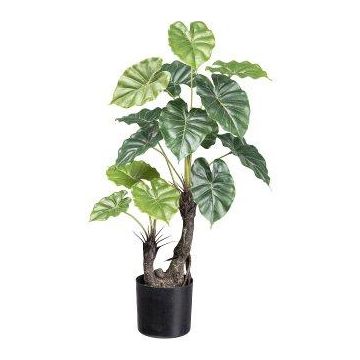 Pianta artificiale Colocasia SLIHER, tronco artificiale, verde, 70 cm