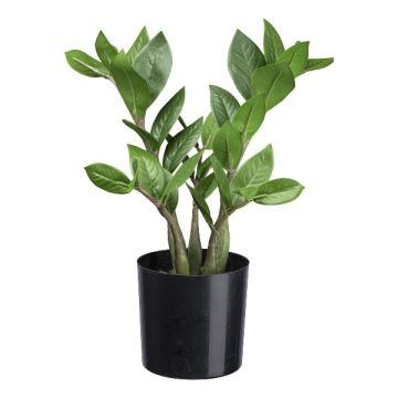 Pianta artificiale Zamioculcas KROHIN, 30 cm Pianta artificiale Zamioculcas KROHIN, 30 cm