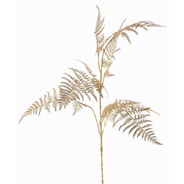 Ramo decorativo Asparagus plumosus GIONA, dorato, 85cm
