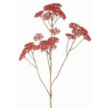 Ramo decorativo di achillea ORTEGA, rosa antico, 75cm, Ø7-13cm Ramo decorativo di achillea ORTEGA, rosa antico, 75cm, Ø7-13cm