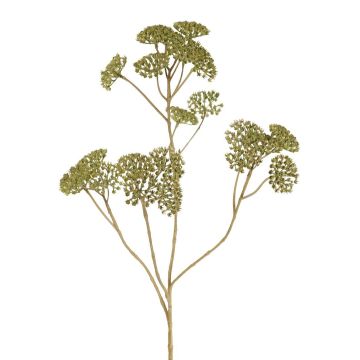 Ramo decorativo achillea ORTEGA, verde, 70 cm, Ø 4 cm