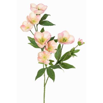 Ramo artificiale di rosa di Natale ANYALA, rosa-bianco, 60cm, Ø5-6cm