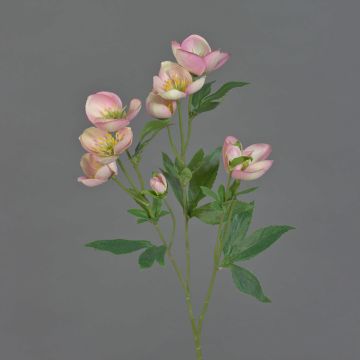 Ramo artificiale di rosa di Natale ANYALA, rosa-bianco, 50 cm